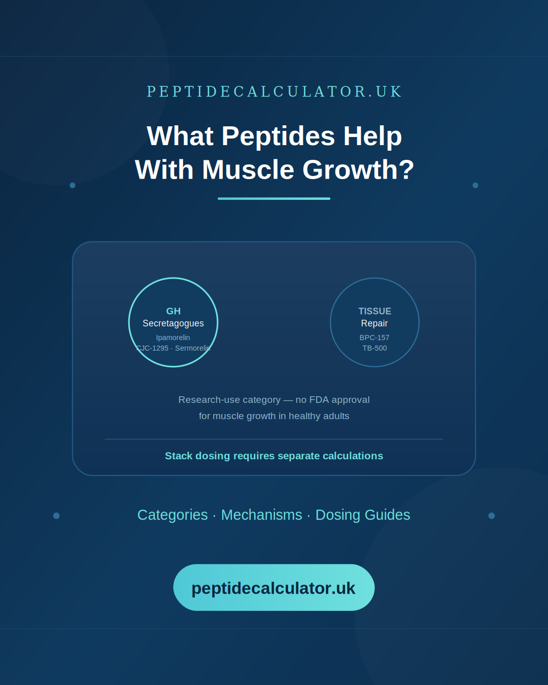 what-peptides-help-with-muscle-growth